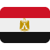 Ain Shams University flag