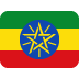 Addis Ababa University flag