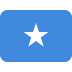 Somali National University flag