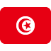 University of Tunis El Manar flag